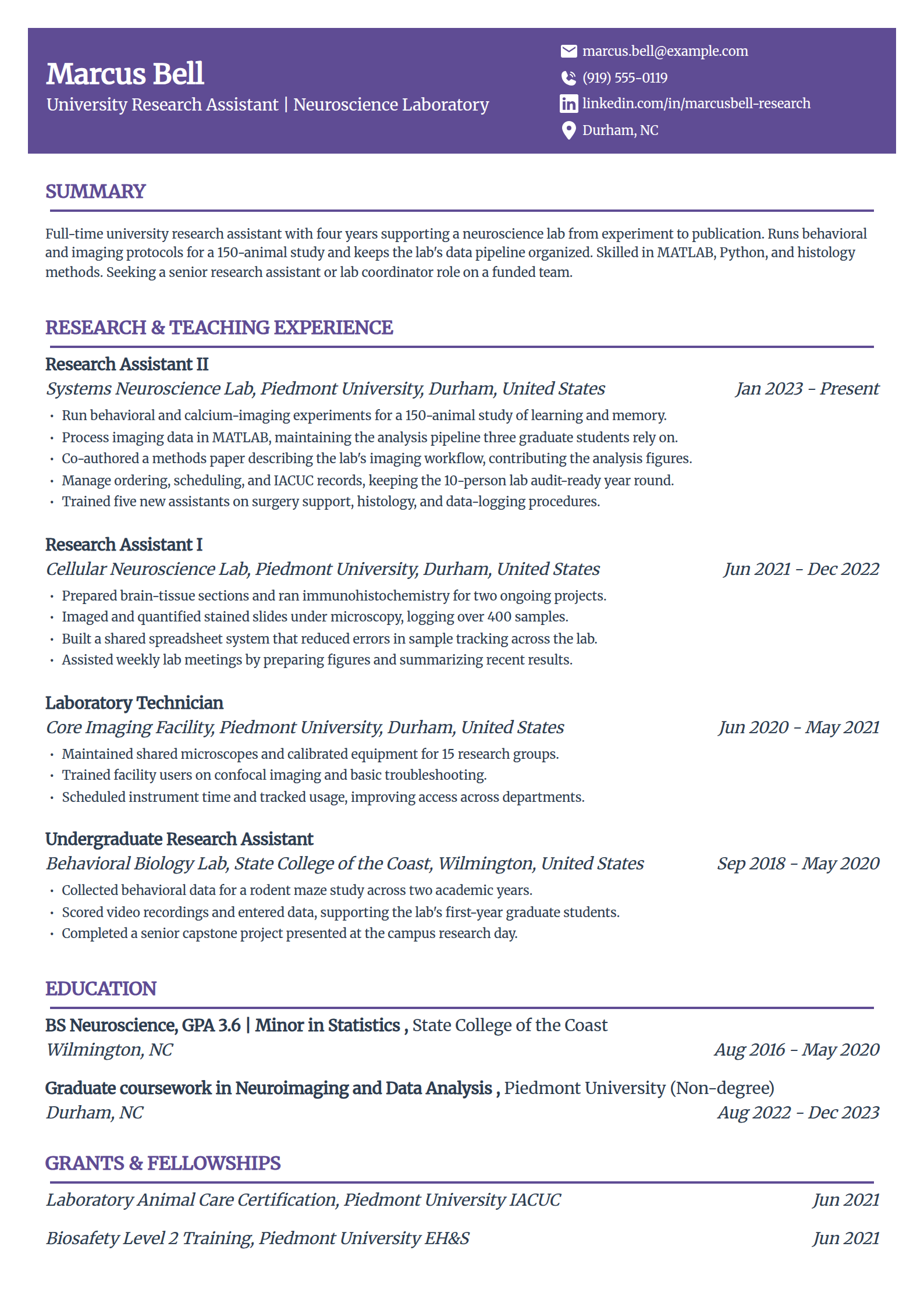 University research assistant academic resume example in the Panorama template
