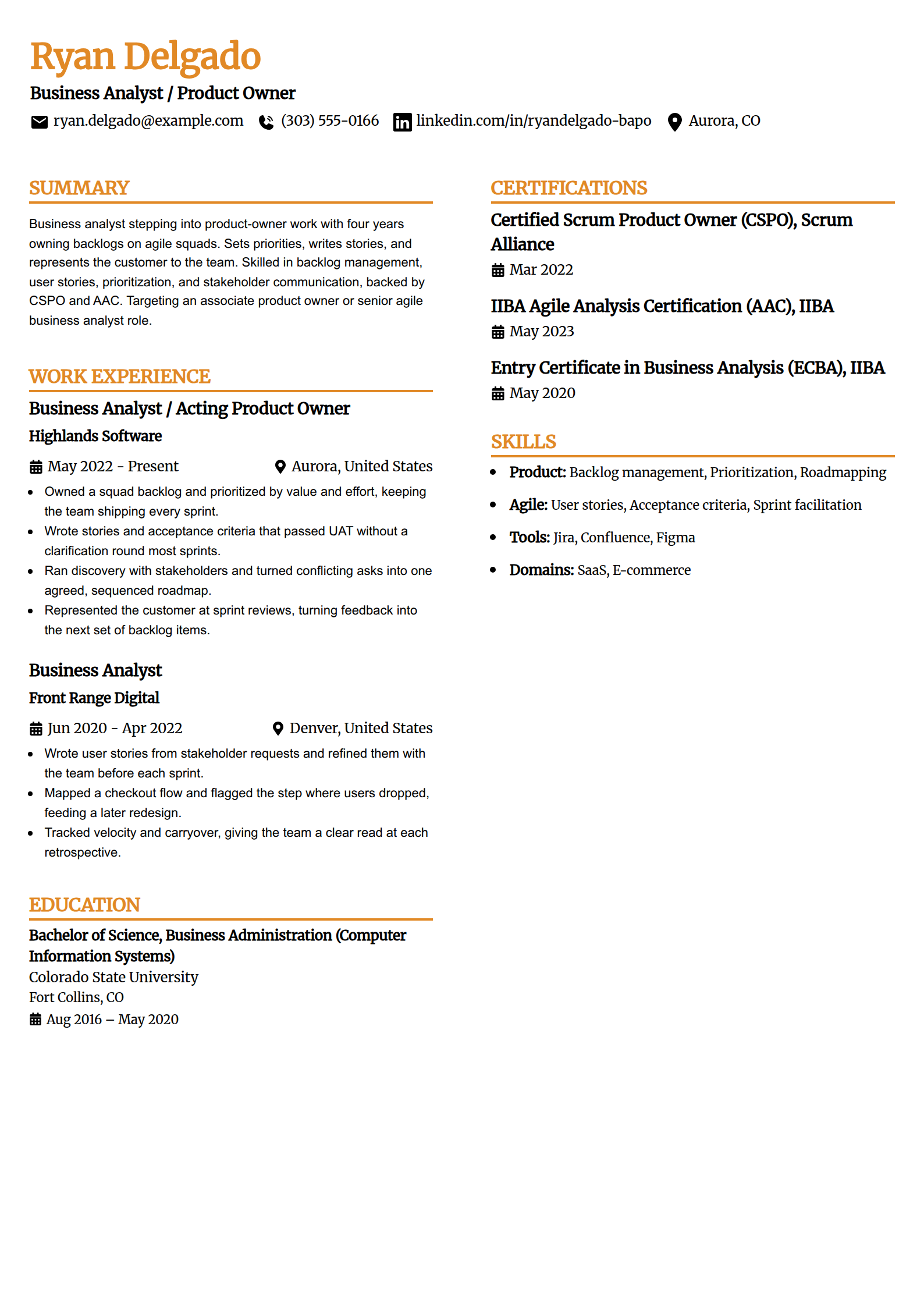 Business analyst moving to product owner resume example in the Professional Edge template