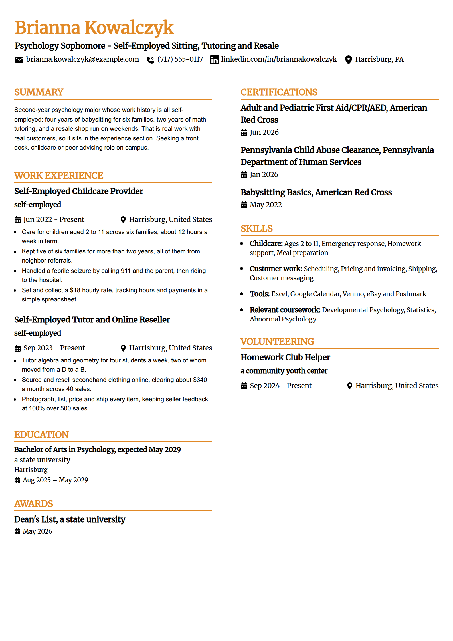 Informal self-employed work only resume example in the Professional Edge template