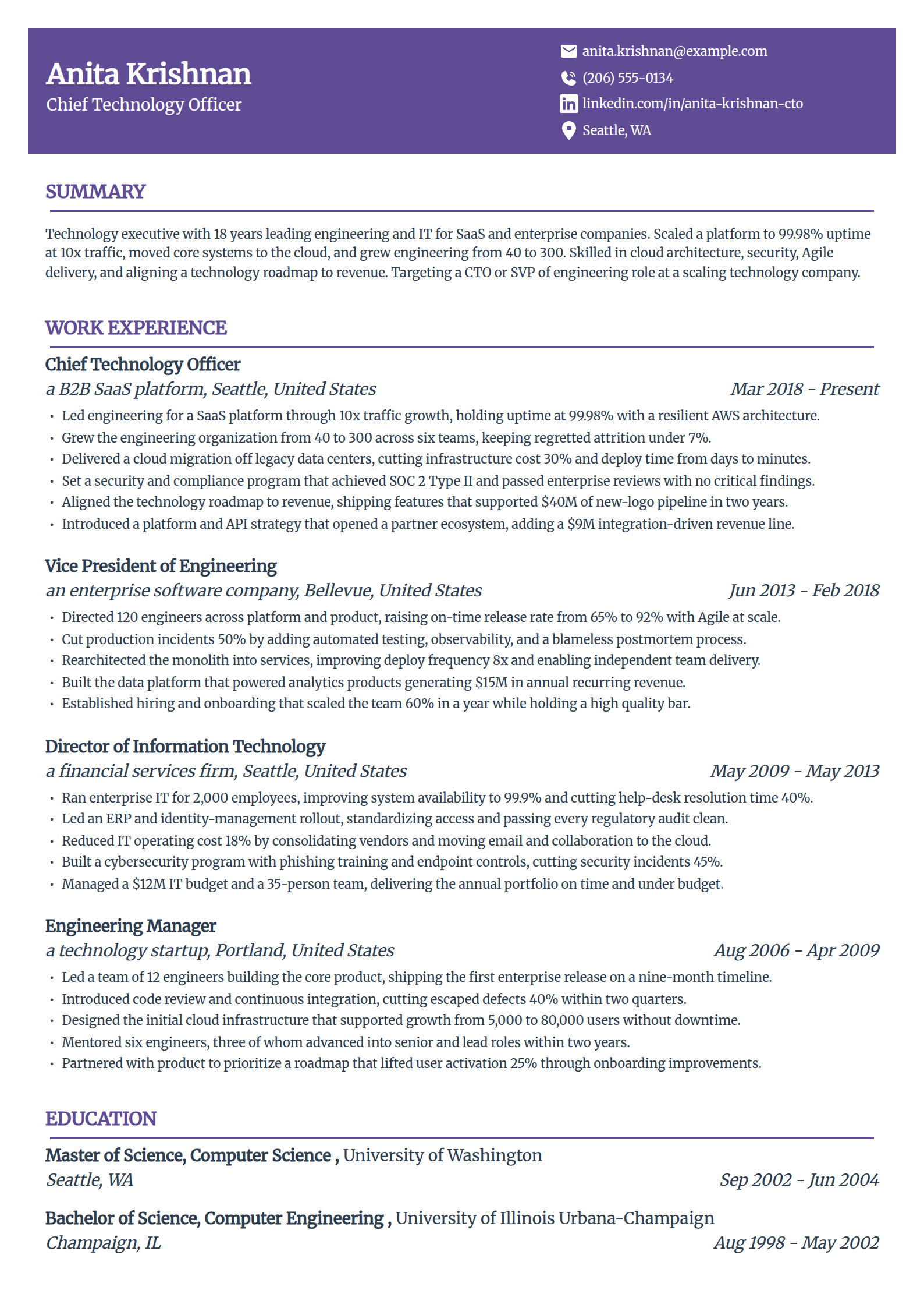 IT executive and chief technology officer resume example in the Panorama template