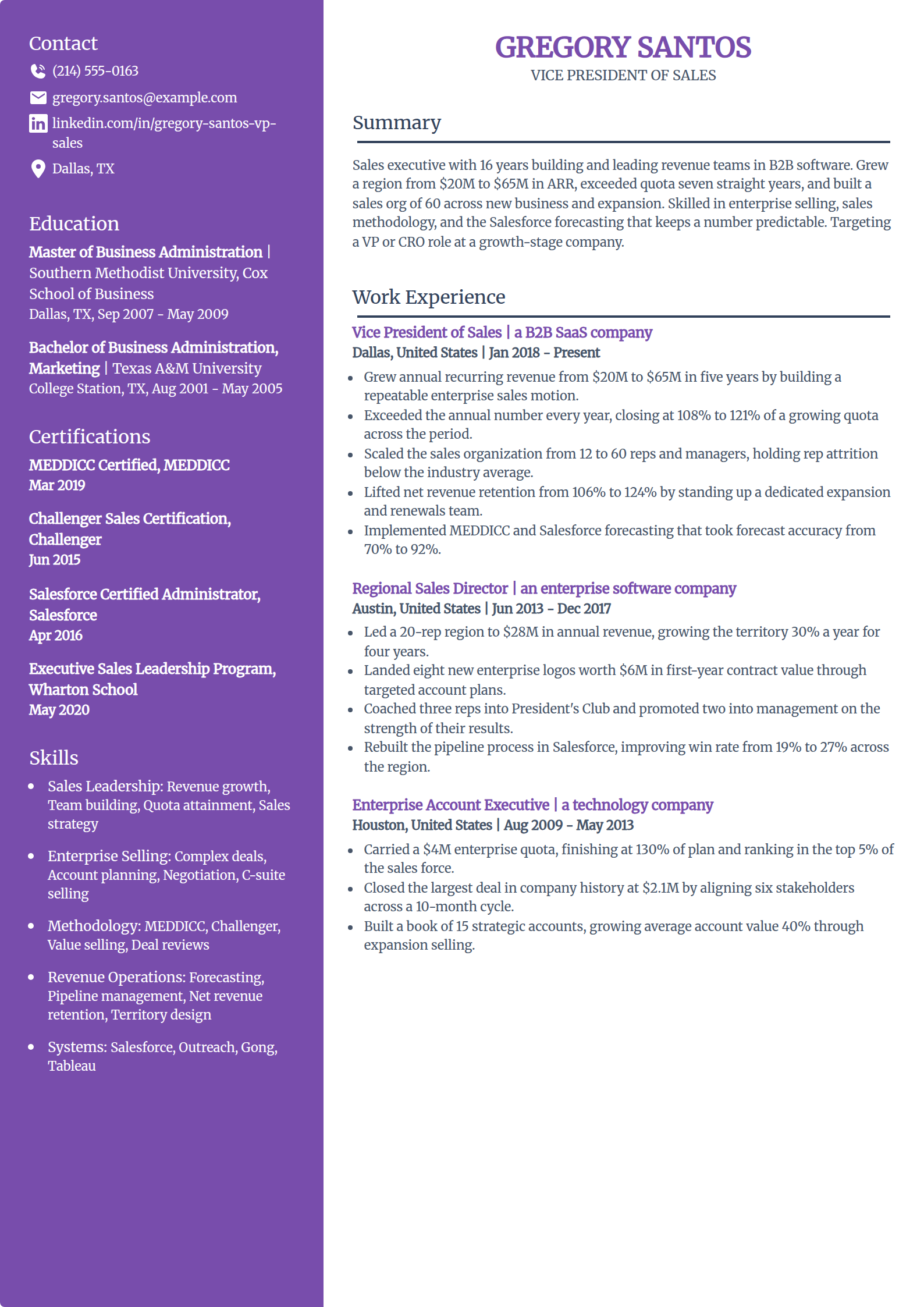 VP of sales and sales executive resume example in the Pioneer template
