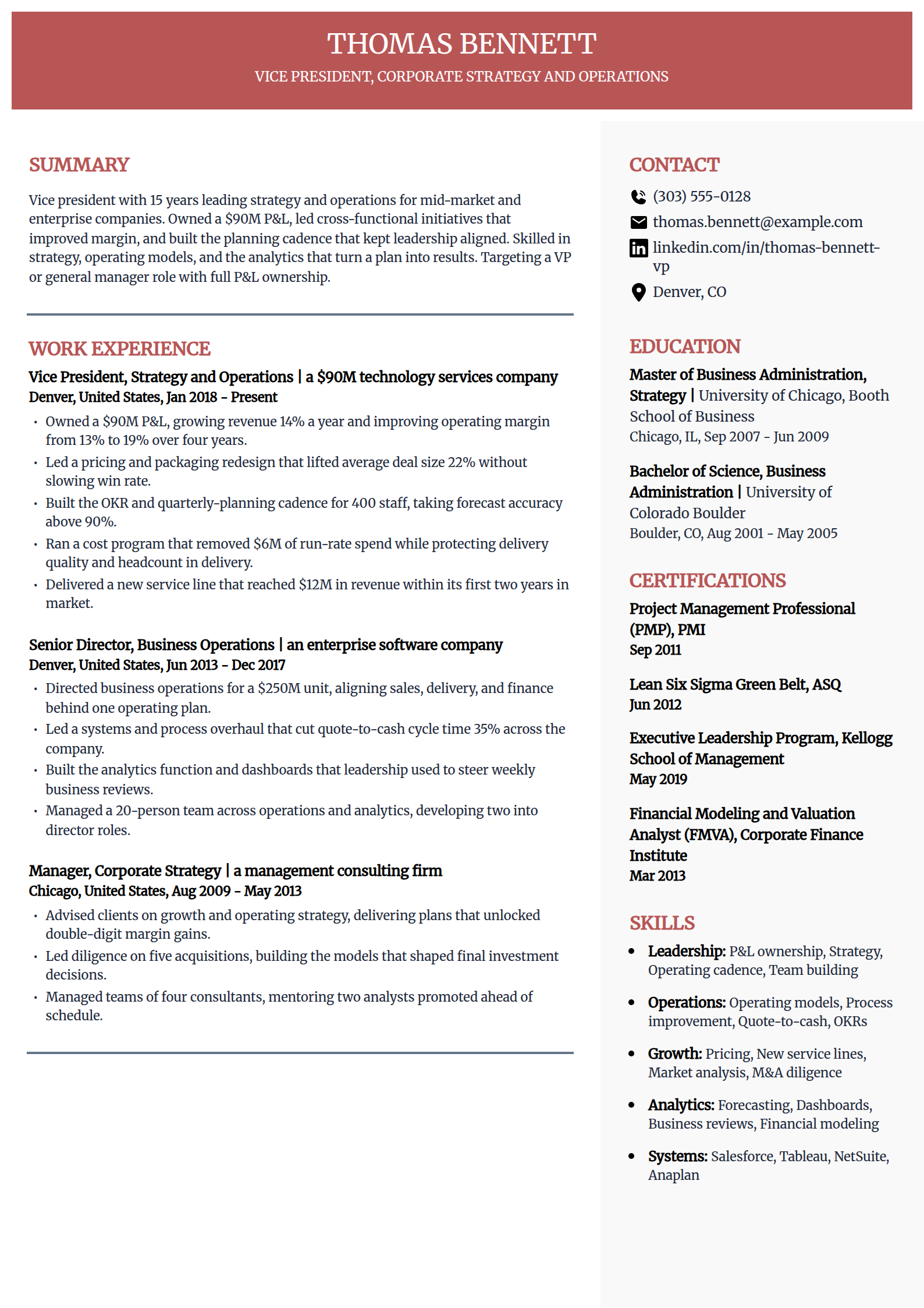 Vice president resume example in the Executive template