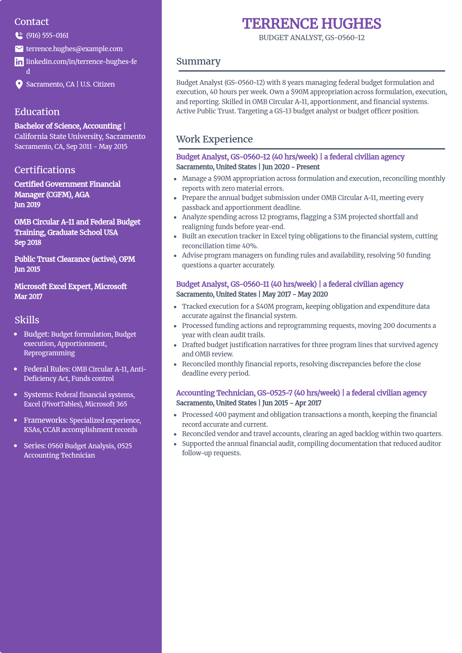Federal budget analyst 0560 resume example in the Pioneer template