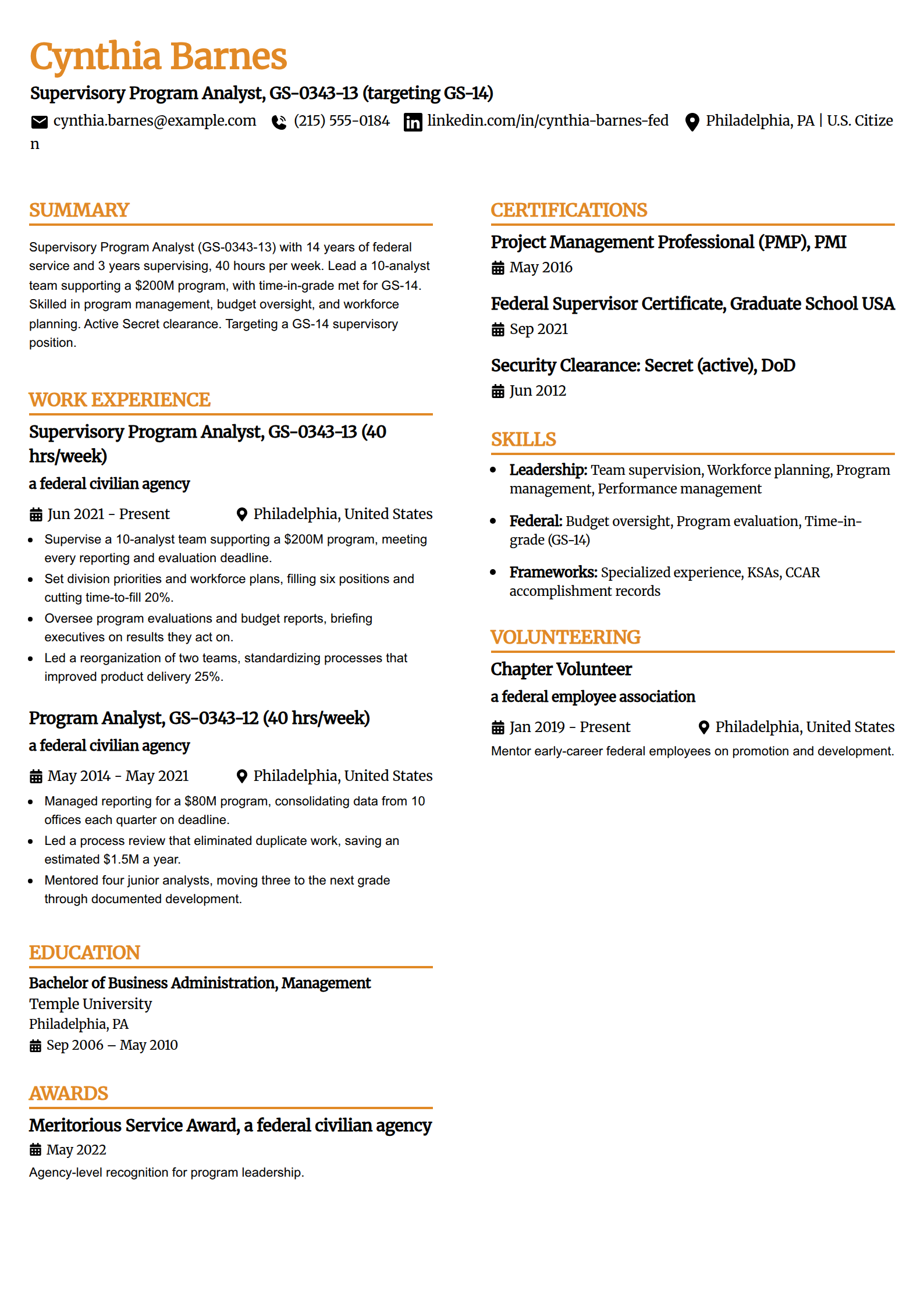 Senior GS-12 to GS-13 federal resume example in the Professional Edge template