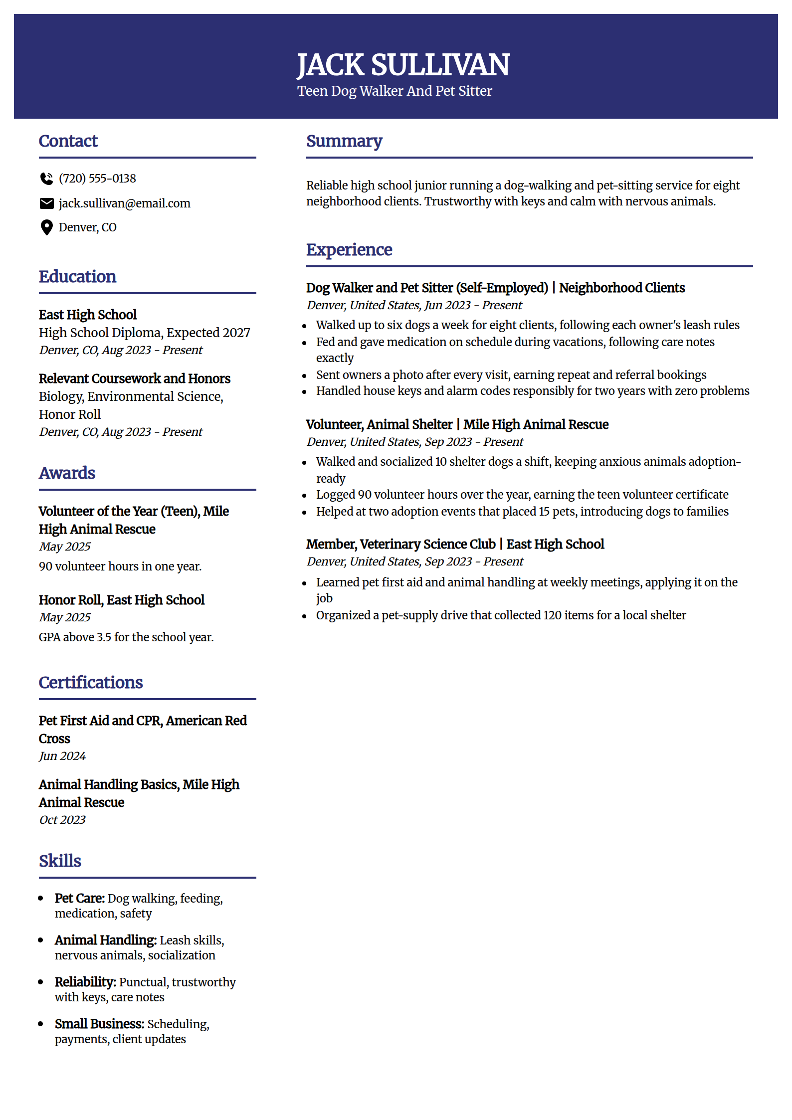 Dog walker / pet sitter resume example in the Visionary template