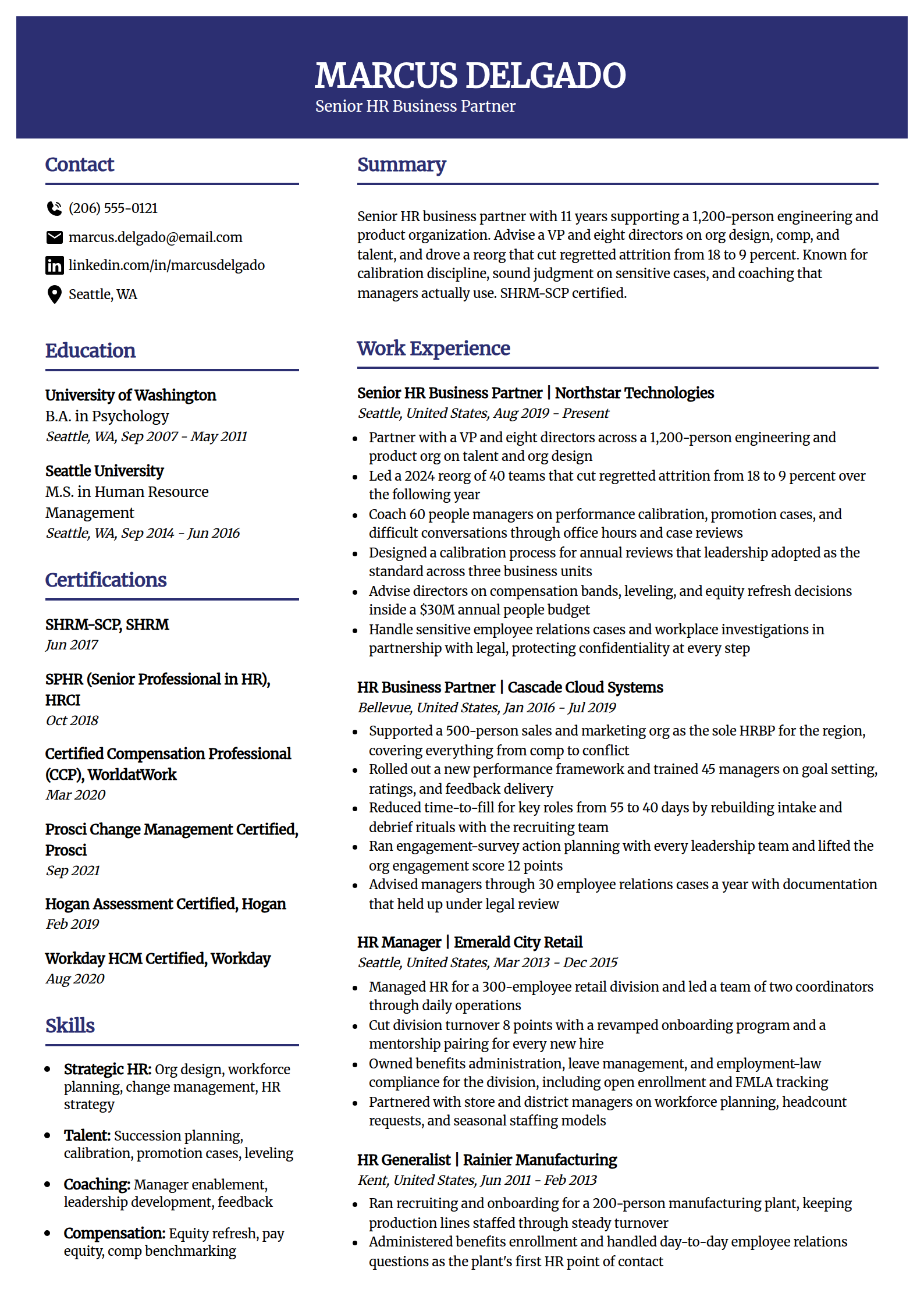 Senior HR business partner resume example in the Visionary template