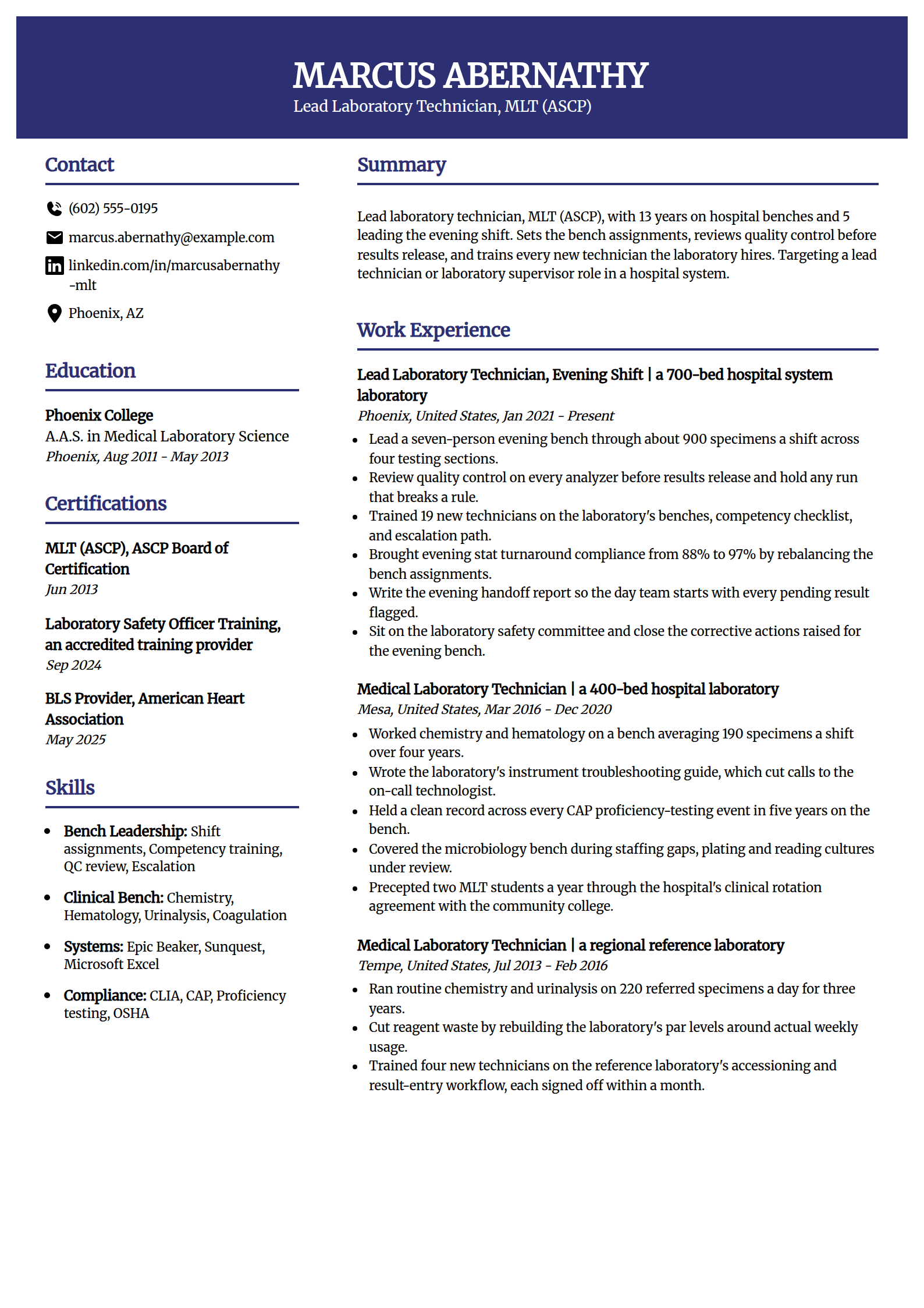 Lead lab technician resume example in the Visionary template