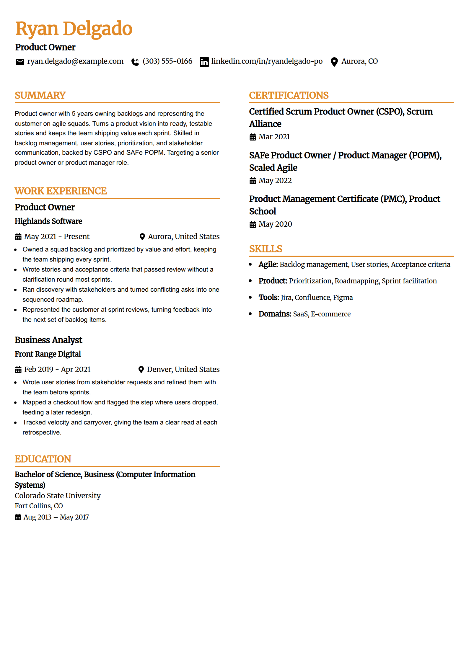 Product owner and agile product manager resume example in the Professional Edge template