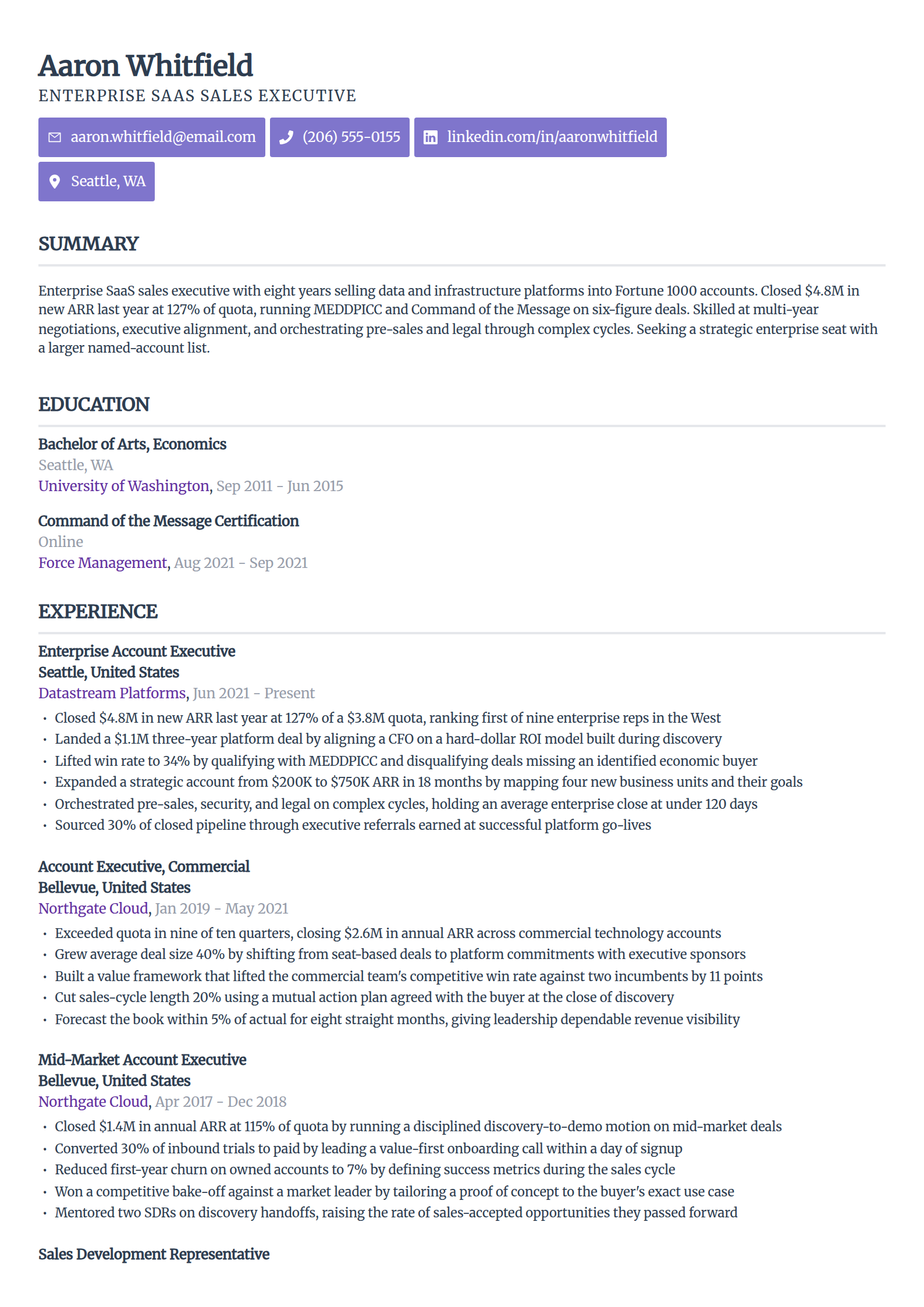 Enterprise SaaS sales resume example in the Sleek Framework template