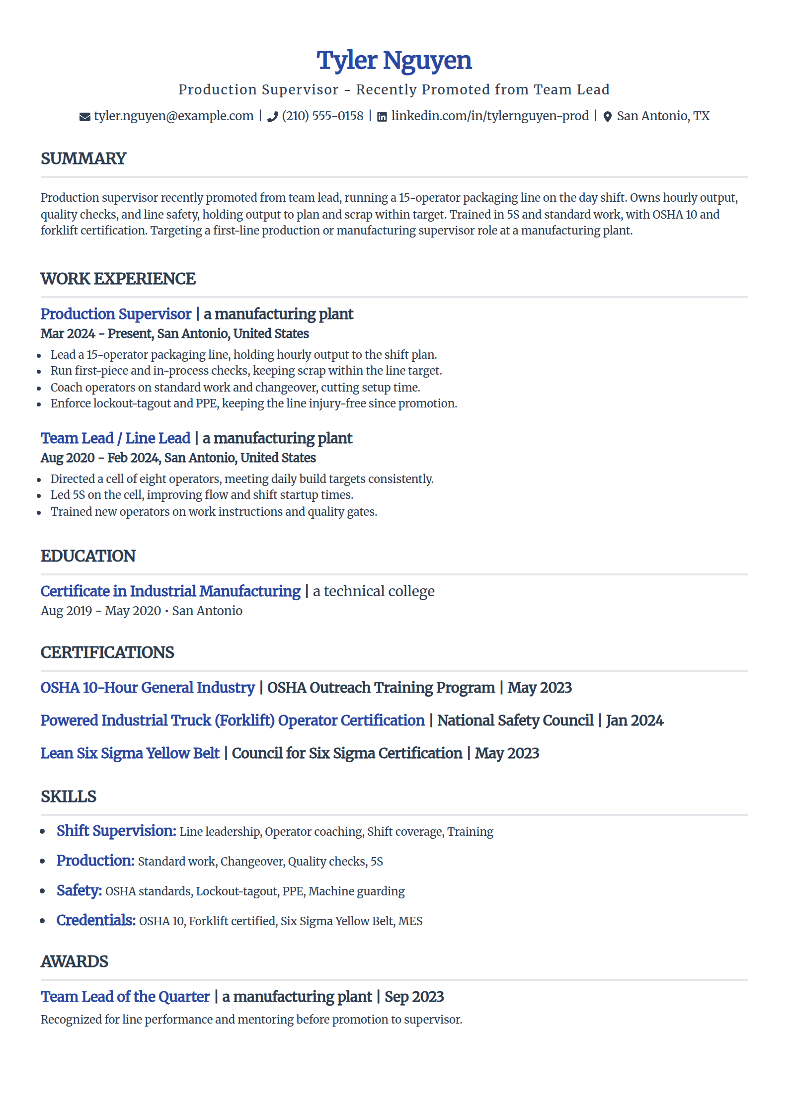 Team Lead to Supervisor resume example in the Simple template